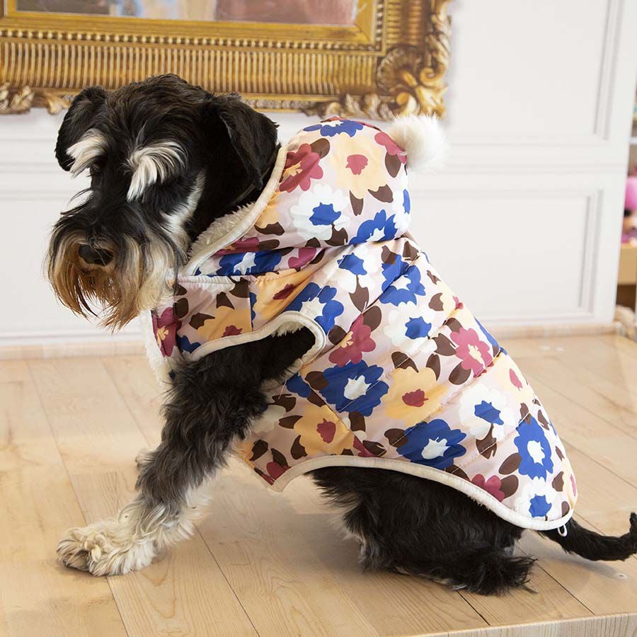Outech Spring Abrigo para perros, , large indicador imagen numero 5
